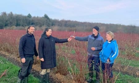 Lees meer over het artikel Albert en Sjoukje nemen blauwe bessenbedrijf Noorderbos over