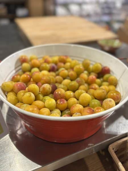Lees meer over het artikel Mirabellen compote