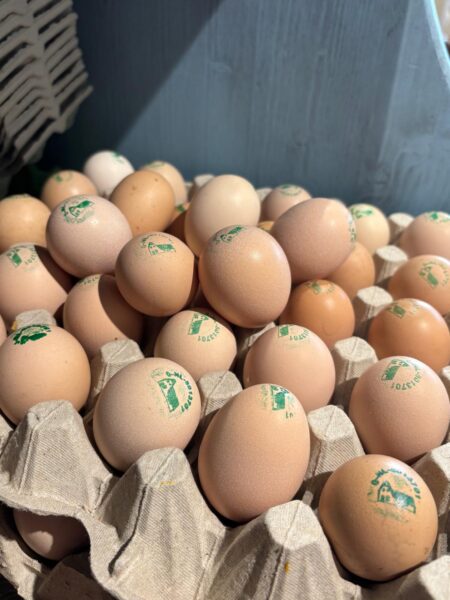 Lees meer over het artikel Weer eieren van eigen boerderij