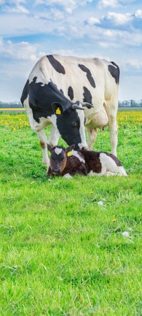 Lees meer over het artikel Demeterweken: bijzonder keurmerk in de schijnwerpers